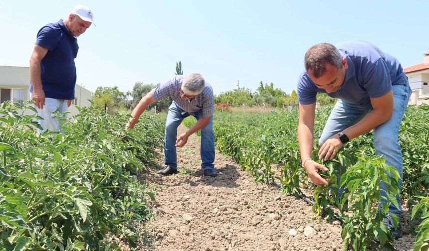 Tarımda Maliyet Baskısı Derinleşiyor!