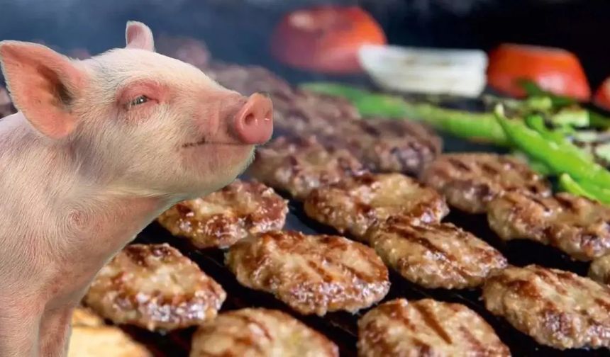 Domuz Eti Kullanan İşletmeler e-Devlet’te İfşa Mı Edilecek?
