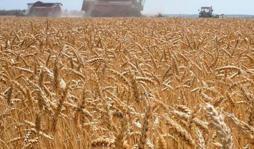 Rusya, Tahıl İhracat Vergisini 6 Günlüğüne Sıfırlıyor
