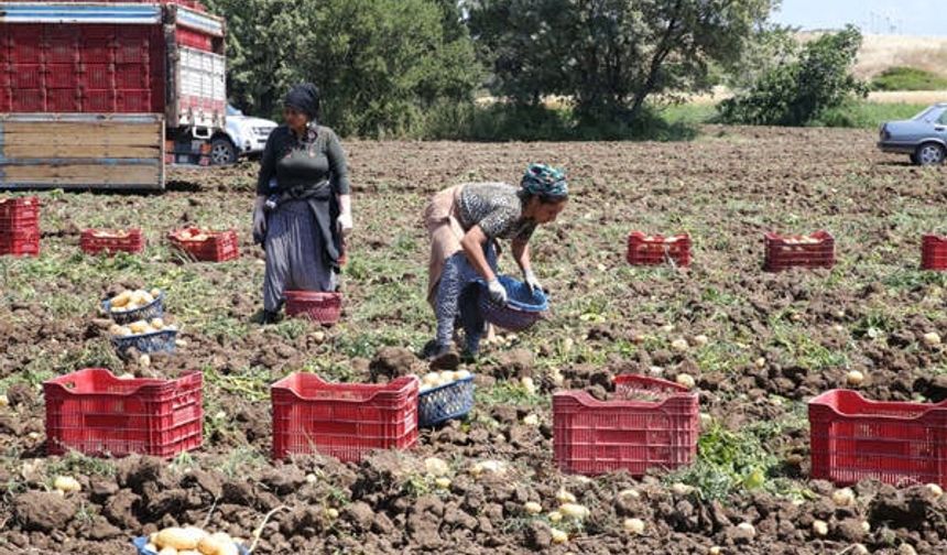 Edirne Milletvekili Ün: “Çiftçi Dayanacak Güçte Değil”