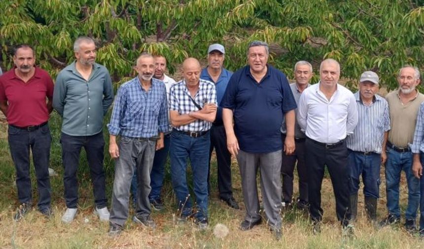 Kiraz Yok, Umut Yok: Çiftçi Yalnız!