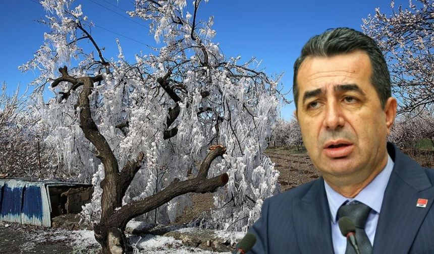CHP’li Erhan Adem'den Tarımda Yapısal Çözüm Çağrısı!