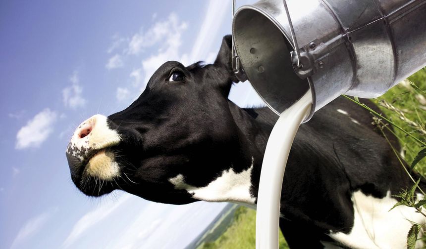 Ulusal Süt Konseyi Çiğ Süt Fiyatını Güncelledi!