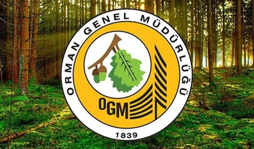 OGM’den Büyük İş Fırsatı: Kadrolu 262 İşçi Alınacak!
