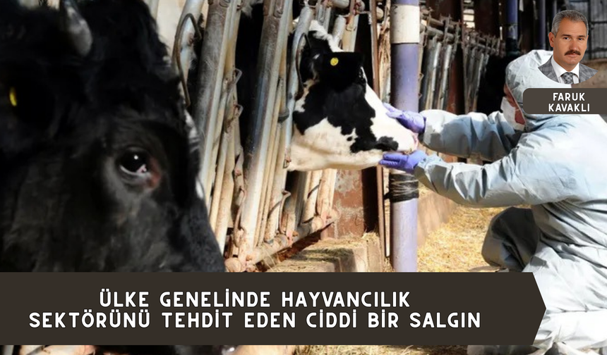 ÜLKE GENELİNDE HAYVANCILIK SEKTÖRÜNÜ TEHDİT EDEN CİDDİ BİR SALGIN