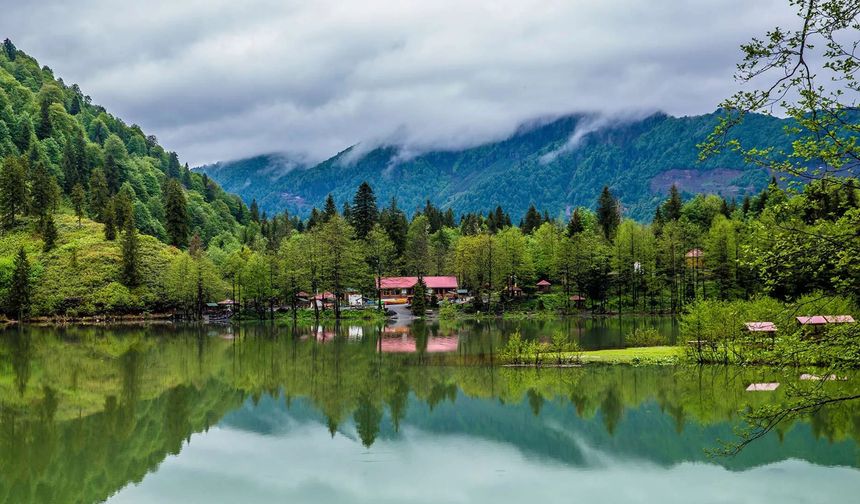 Milli Parklar ve Vakıflar İçin Yeni Düzenleme TBMM’de!