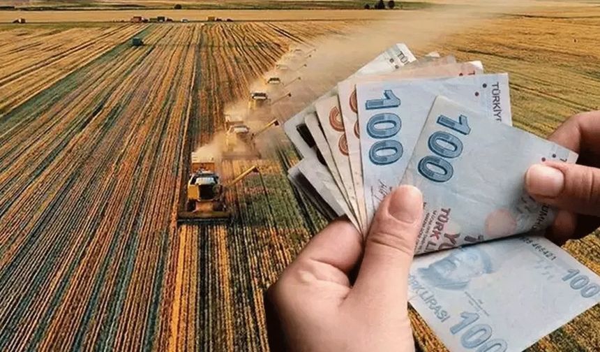 349 Milyon TL'lik Tarımsal Destekleme Ödemeleri Hesaplara Aktarılıyor!