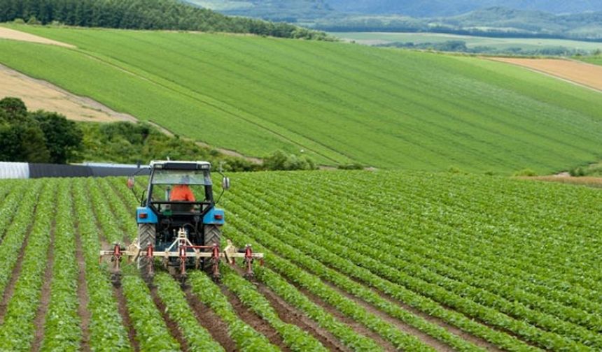 TÜİK Açıkladı: Tarımda Büyük Kayıp Bekleniyor!