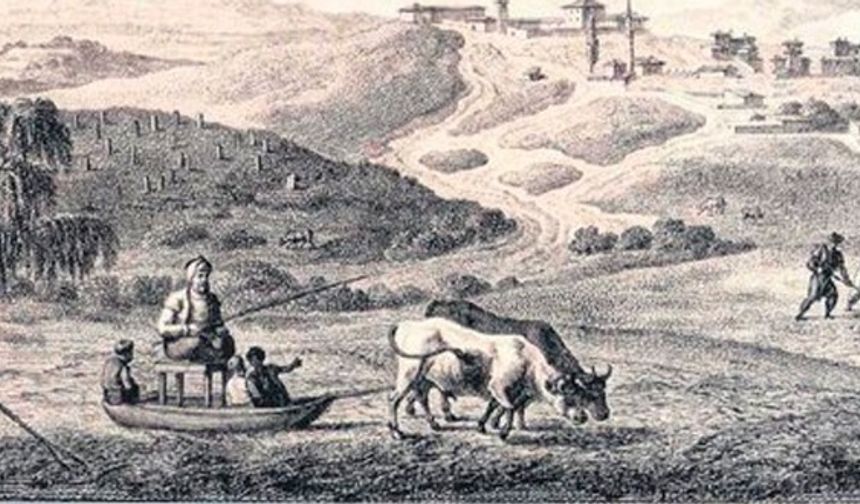 Osmanlı’da Hayvancılık Ekonomisi: Arpalık, Mer’a, Vakıf Sistemi!