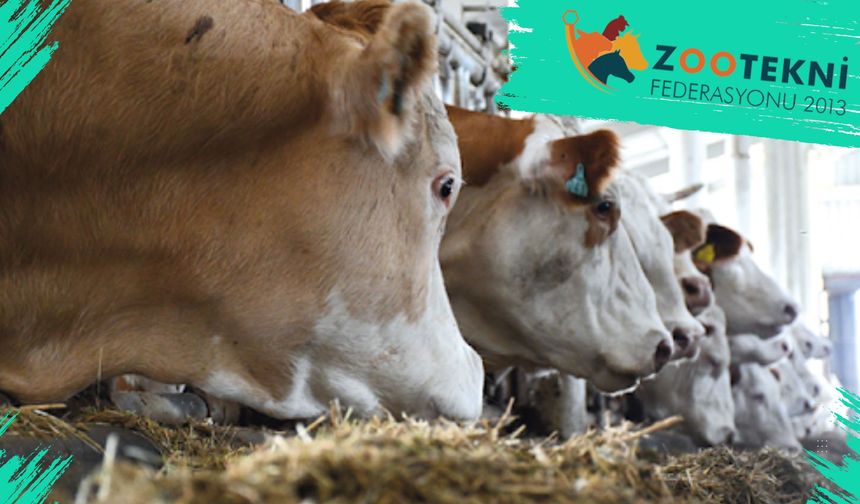 Hayvansal Üretimin Paydaşı Zootekni Federasyonu 12 Yaşında
