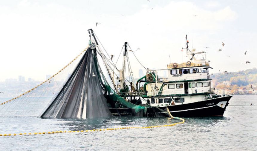 Su Ürünleri Denetimlerinde Rekor Rakam!