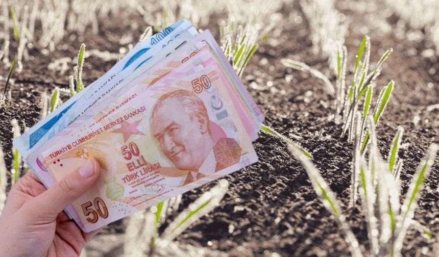 Zirai Dondan Etkilenen Üreticilere 13 Milyar TL’lik Destek Ödemesi!