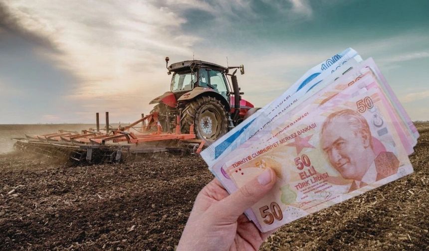 711 Milyon TL’lik Tarımsal Destekleme Ödemleri Hesaplara Aktarılıyor!