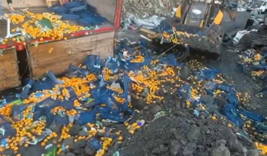 İhraç Mandalinasında Zirai İlaç Alarmı!