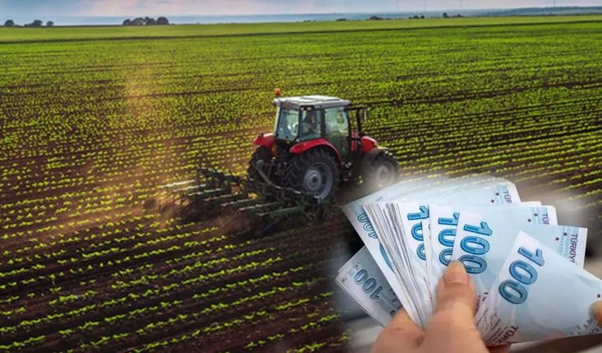 ‘’Üreticiye 168 Milyar, Faize 2 Trilyon 742 Milyar’’