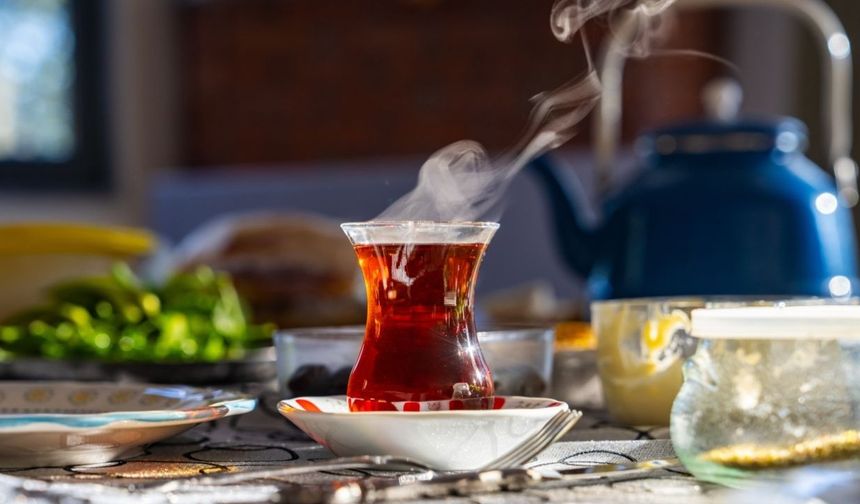 İki Çay Markasında Gıda Boyası Tespiti!