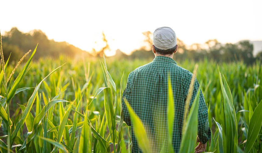 Çiftçi Olmanın Ruhsal Yükü Nedir?