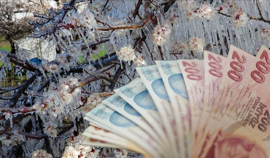 Çiftçilere 798 Milyon TL Destek Ödemesi!