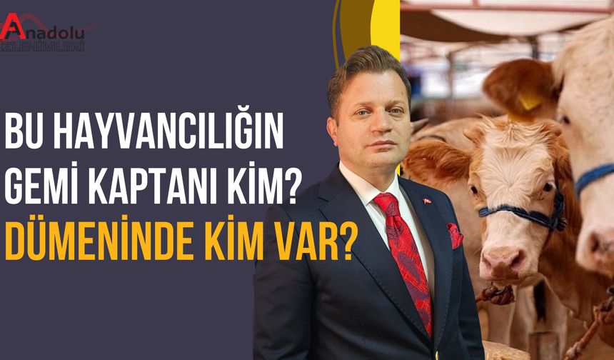 Bu Hayvancılığın Gemi Kaptanı Kim? Dümeninde Kim Var?