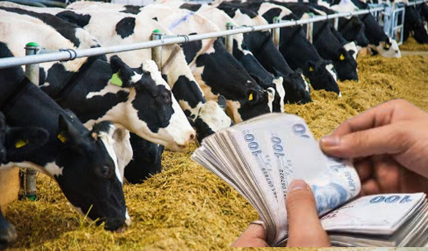 1 Milyar TL’lik Tarımsal Destekleme Ödemeleri Hesaplara  Aktarılıyor!