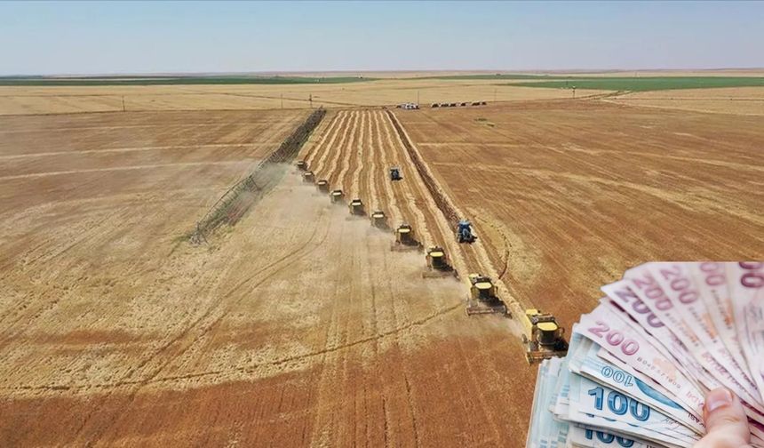1,6 Milyar TL’lik Tarımsal Destekleme Ödemeleri Hesaplara Aktarılıyor!