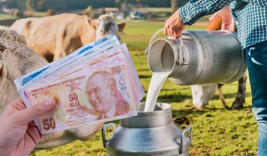 Çiğ Süt Üreticisine Müjde: Tarımsal Destekleme Ödemeleri Hesaplarda!