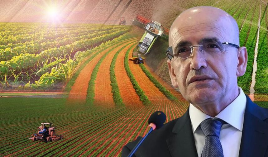 Bakan Şimşek Açıkladı: Tarım Büyümeye Nasıl Baskı Oluşturdu?