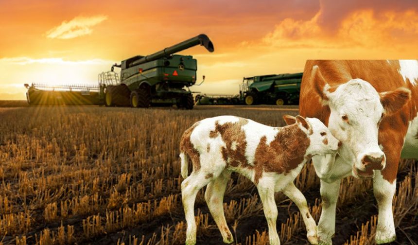 Tarımsal Örgütlerde 2025’in Birinci Derece Listesi Açıklandı!