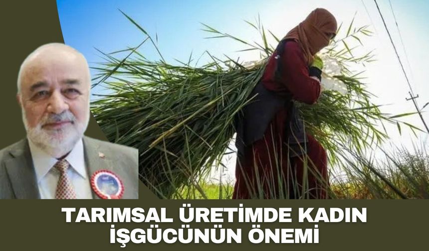 Tarımsal Üretimde Kadın İşgücünün Önemi