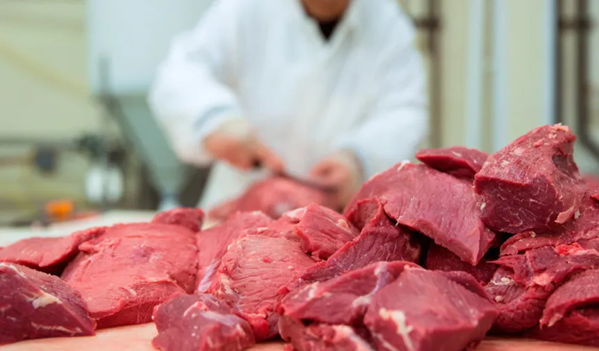 Kırmızı Et Üretiminde Yeni Model Masada!