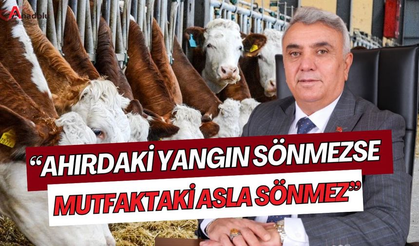 “Ahırdaki Yangın Sönmezse Mutfaktaki Asla Sönmez”