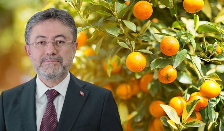 Tarım Sigortalarında Yeni Dönem!