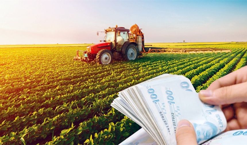 129 Milyon TL'lik Tarımsal Destekleme Ödemeleri Hesaplara Aktarılıyor!