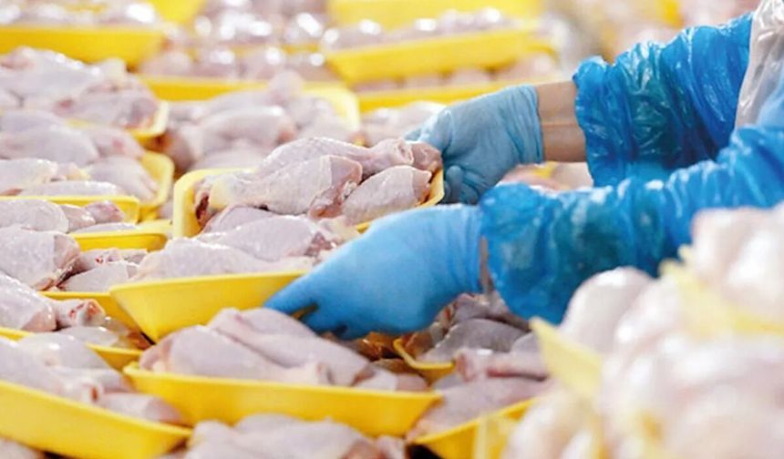 Ticaret Bakanlığı Tavuk İhracatını Durdurdu!