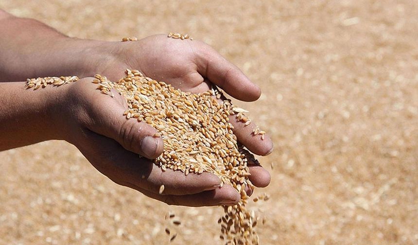 Ocak Ayında 929,5 Milyon Dolarlık Gıda İhracatı!