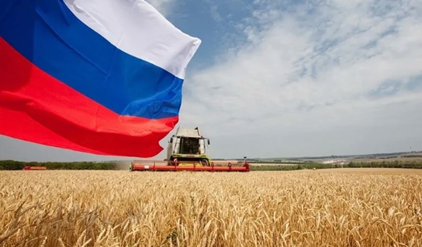 Buğdayda Kritik Tablo: Türkiye, Rusya’nın En Büyük İkinci Müşterisi!