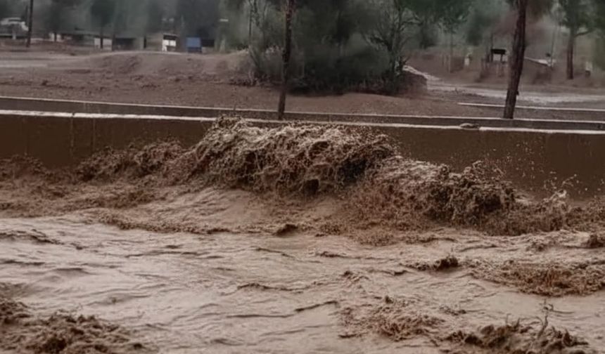 Köyceğiz’de 5 Milyon TL’lik Sera Kaybı!