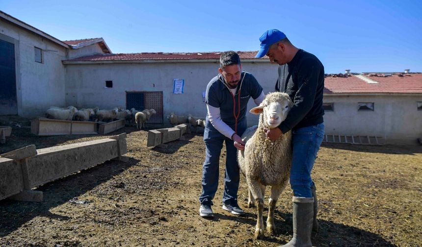 Üreticiyi En Çok Zorlayan Kaleme Destek