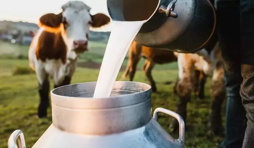 Çiğ Süt Destekleri Bugün Hesaplara Aktarılıyor!