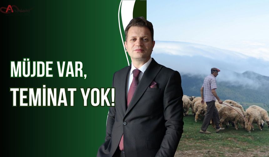 Müjde Var, Teminat Yok!