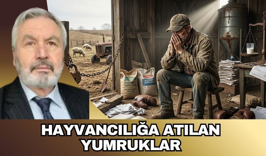 HAYVANCILIĞA ATILAN YUMRUKLAR