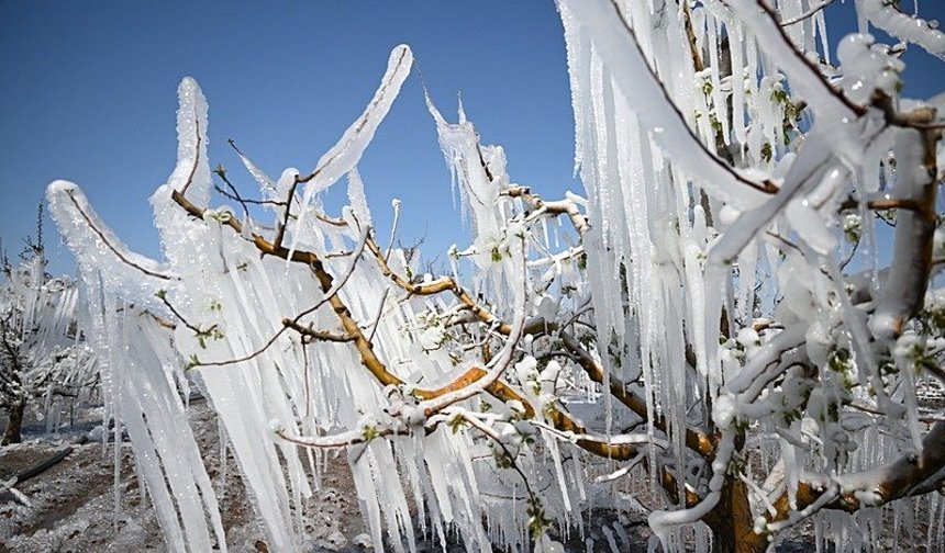 Tarımda Zirai Don Alarmı! Bakanlık Tarih Vererek Uyardı