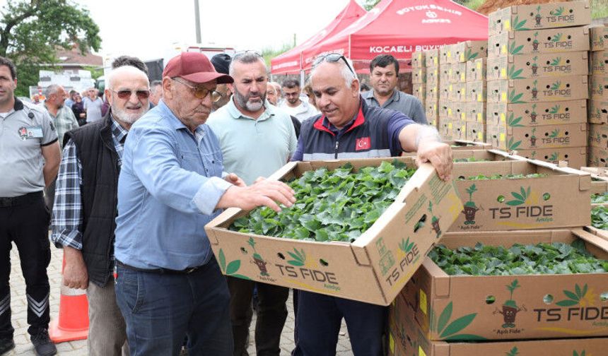 Büyükşehirden Üreticiye Fide Desteği!