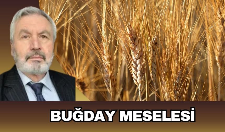 BUĞDAY MESELESİ