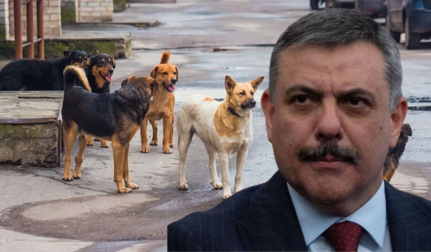 Çiftçi’den Net Mesaj: Yıl Sonuna Kadar Toplama Tamamlanacak