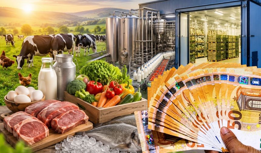 Çağrı İlanı Yayımlandı: Üreticiye 30 Milyon Euroluk Hibe Desteği!
