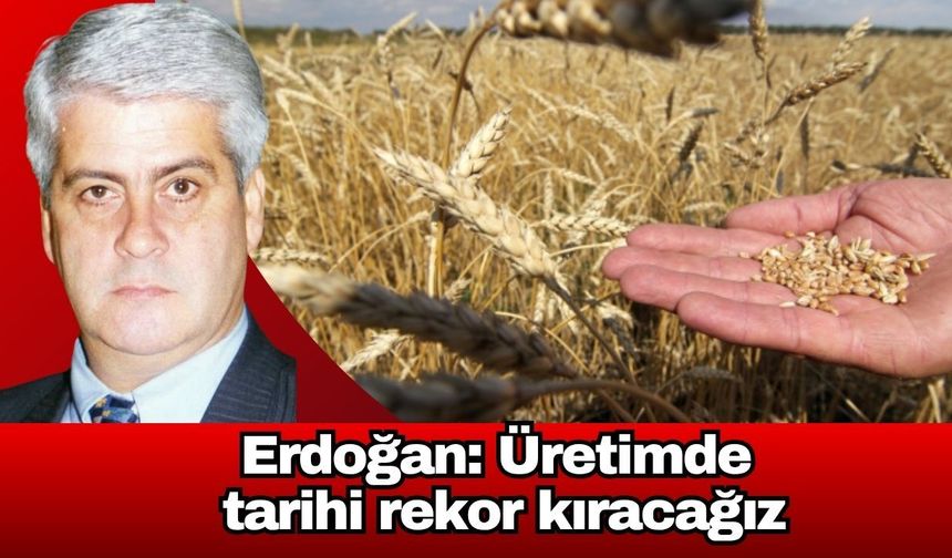 Erdoğan: Üretimde tarihi rekor kıracağız