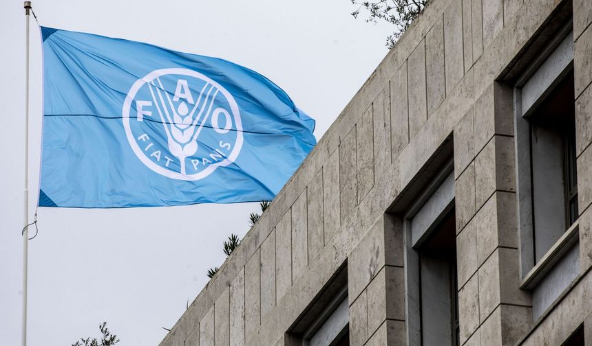 FAO’dan Tüm Dünyaya Hayvan Hastalıkları Uyarısı!