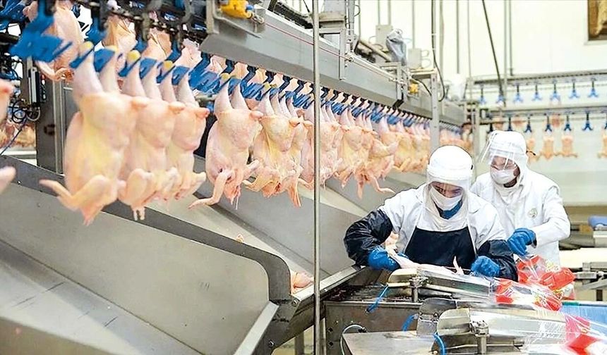 Beyaz Et Sektöründe 13 Dev Şirkete Kayyım Kararı!