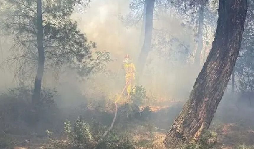 Çanakkale’de Tarım Arazisinde Yangın